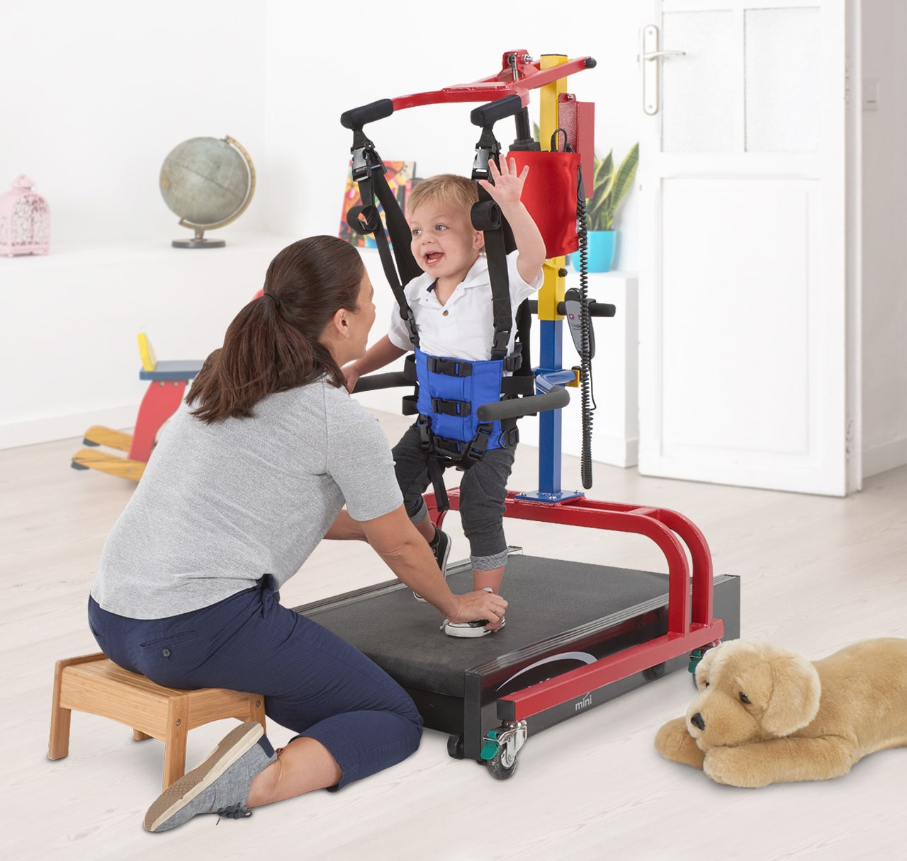 LiteGait 4 Home